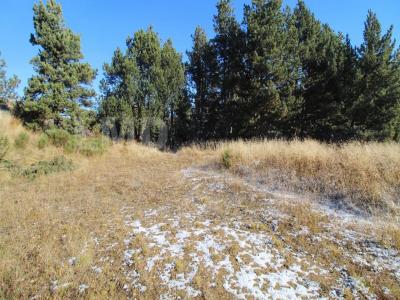 For sale Angles 388 m2 Pyrenees orientales (66210) photo 2