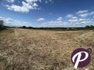 For sale Land Flaugeac  1800 m2