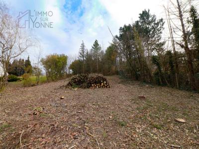 For sale Gy-l'eveque 3310 m2 Yonne (89580) photo 0