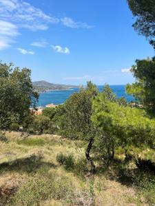 For sale Banyuls-sur-mer Pyrenees orientales (66650) photo 0