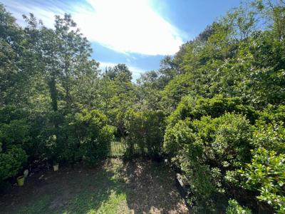 For sale Teich 2 rooms 37 m2 Gironde (33470) photo 1