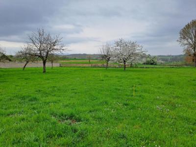 For sale Forstheim 1552 m2 Bas rhin (67580) photo 0