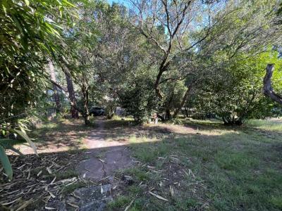 For sale Lege-cap-ferret 895 m2 Gironde (33950) photo 2