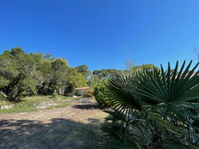 Acheter Terrain Lege-cap-ferret 1780000 euros