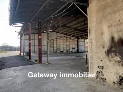 Annonce Location Commerce Puy-guillaume 63