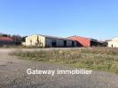 For sale Commerce Puy-guillaume  1248 m2