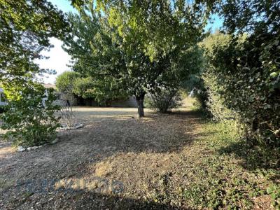 For sale Lagord 470 m2 Charente maritime (17140) photo 1