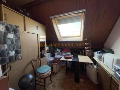 Acheter en viager Maison Verrieres-le-buisson 395000 euros