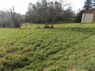 For sale Brede 1200 m2 Gironde (33650) photo 0