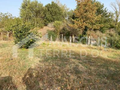 For sale Labruguiere 551 m2 Tarn (81290) photo 0