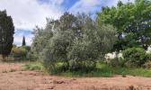 For sale Land Clermont-l'herault 
