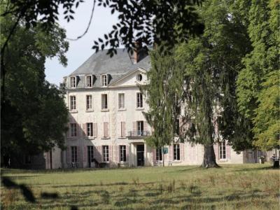 For sale Isle-sur-serein 40 rooms 2000 m2 Yonne (89440) photo 0