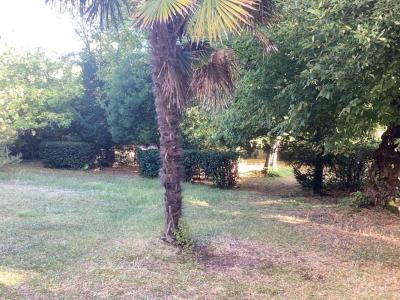 For sale Arcachon 2 rooms 37 m2 Gironde (33120) photo 3