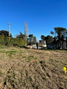 For sale Saussines 380 m2 Herault (34160) photo 2
