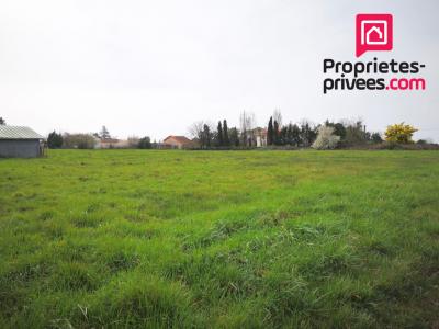 For sale Grignols 9027 m2 Gironde (33690) photo 0