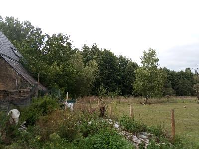 For sale Connerre 6700 m2 Sarthe (72160) photo 0