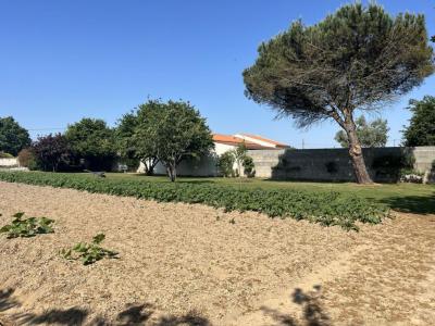 For sale Grosbreuil 1226 m2 Vendee (85440) photo 1
