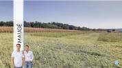 For sale Land Chaponnay  616 m2