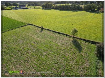 For sale Theze Pyrenees atlantiques (64450) photo 0