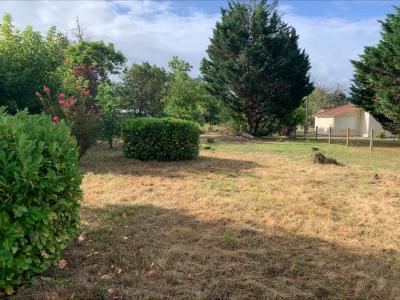 For sale Peintures 2179 m2 Gironde (33230) photo 0