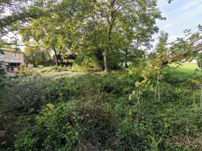 For sale Aigrefeuille-d'aunis 706 m2 Charente maritime (17290) photo 2