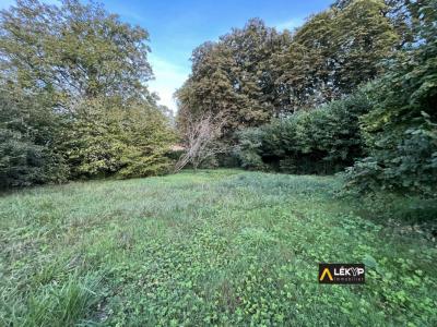 For sale Mouchamps 775 m2 Vendee (85640) photo 0