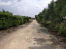For sale Land Trizay  760 m2
