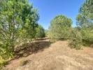 For sale Land Figari 