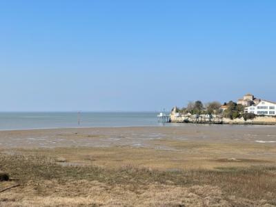 For sale Talmont-sur-gironde Charente maritime (17120) photo 2