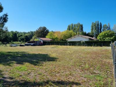 For sale Levignacq Landes (40170) photo 0