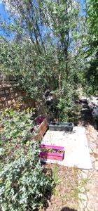 For sale Grabels 3 rooms 69 m2 Herault (34790) photo 3