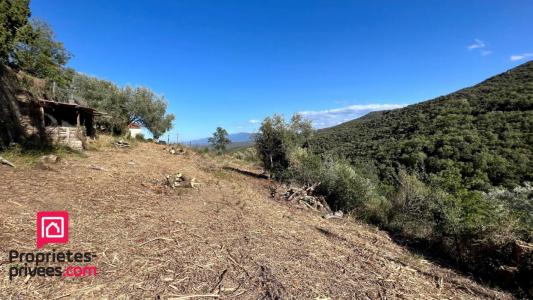 For sale Caixas 6800 m2 Pyrenees orientales (66300) photo 2