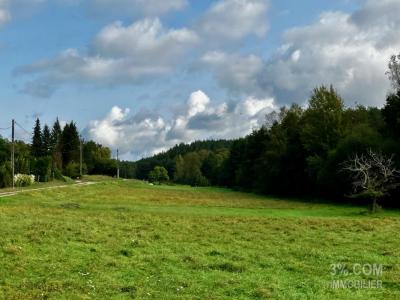 For sale Philippsbourg 1811 m2 Moselle (57230) photo 1