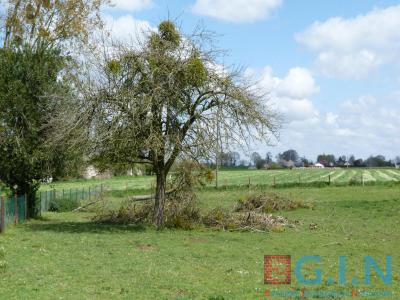 For sale Duclair 964 m2 Seine maritime (76480) photo 0