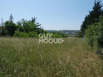 For sale Moneteau 4129 m2 Yonne (89470) photo 0