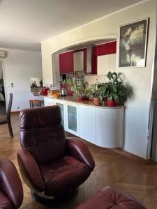 Life-annuity Ceret 5 rooms 133 m2 Pyrenees orientales (66400) photo 2