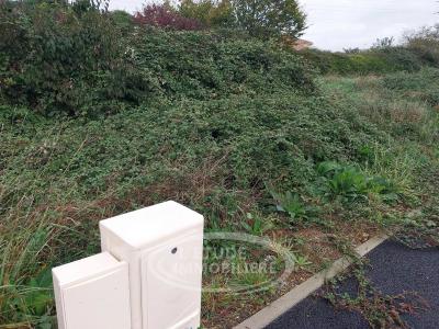 For sale Sainte-pazanne 400 m2 Loire atlantique (44680) photo 2