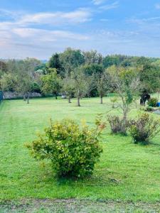 For sale Soissons 2000 m2 Aisne (02200) photo 0