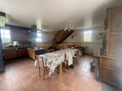 Life-annuity Ambrieres-les-vallees 6 rooms 207 m2 Mayenne (53300) photo 1