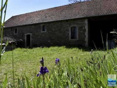 For sale Conques Aveyron (12320) photo 0