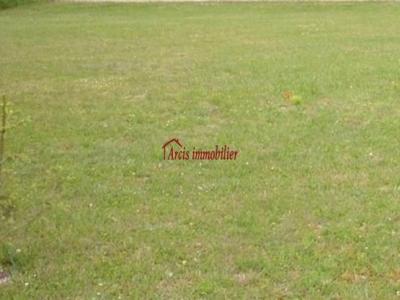 For sale Allibaudieres PLANCY-L'ABBAYE 1592 m2 Aube (10700) photo 0