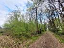 For sale Forested aera Cuzion  6250 m2