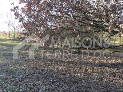 Acheter Maison 90 m2 Graulhet