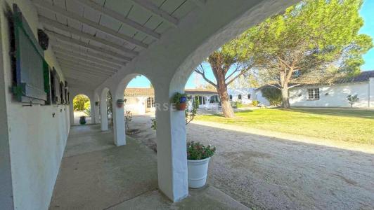 For sale Saintes-maries-de-la-mer 14 rooms 600 m2 Bouches du Rhone (13460) photo 0