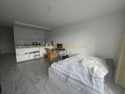 Life-annuity Bordeaux 1 room 31 m2 Gironde (33200) photo 0