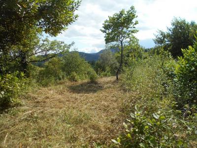 For sale Lodeve 2856 m2 Herault (34700) photo 1