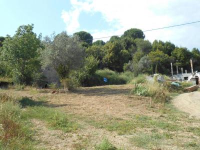 For sale Lodeve 2856 m2 Herault (34700) photo 2
