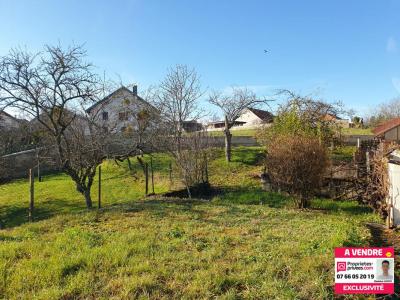 For sale Chatenois-les-forges 7 rooms 137 m2 Belfort (90700) photo 4