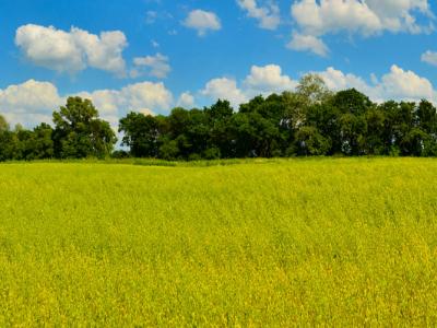 For sale Saint-justin 65 m2 Landes (40240) photo 0