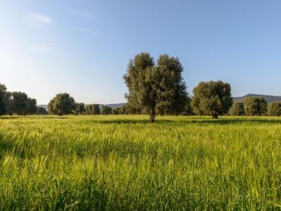 For sale Roquefort 65 m2 Landes (40120) photo 0